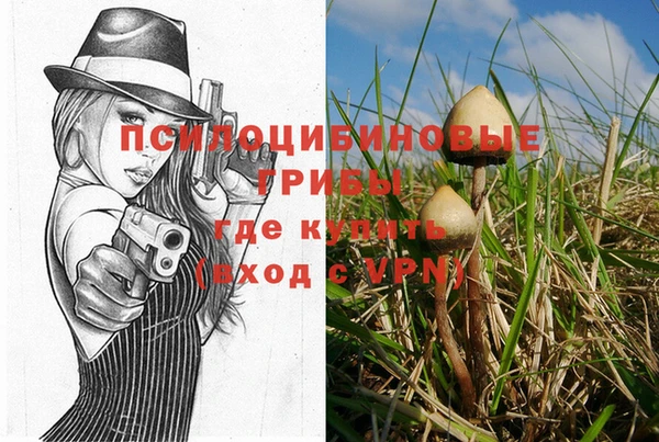 a pvp Гатчина